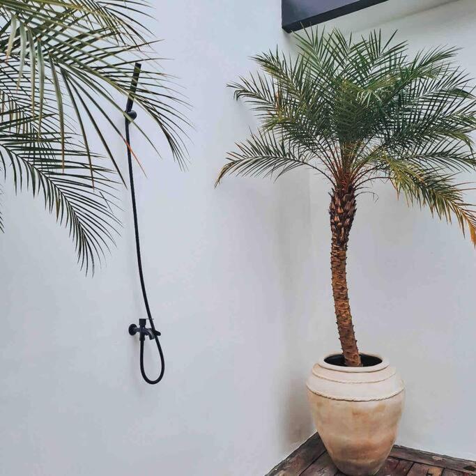 Casa Di Pererenan Villa Canggu  Bagian luar foto